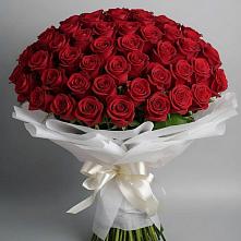 Букет 101 Красная роза Блэк Мэджик в Тогучине
