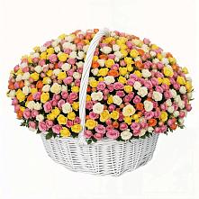 Премиум букет из: Розы в Тогучине