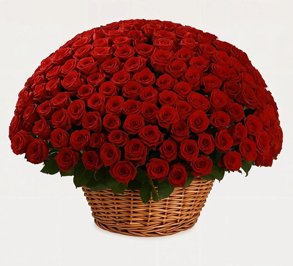 Премиум букет из: Розы в Тогучине