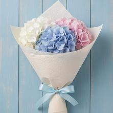 Букет цветов из:  Гортензия в Тогучине