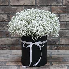 Цветочная композиция из Гипсофила в шляпной коробке в Тогучине