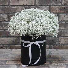 Цветочная композиция из Гипсофила в шляпной коробке в Тогучине