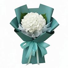 Букет цветов из:  Гортензия в Тогучине